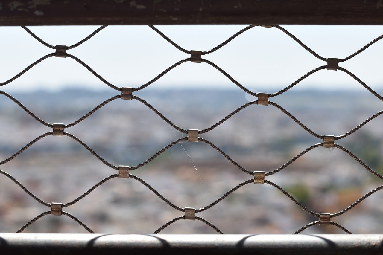 丽晶国际实名账号：新经币app如何详情下载教程