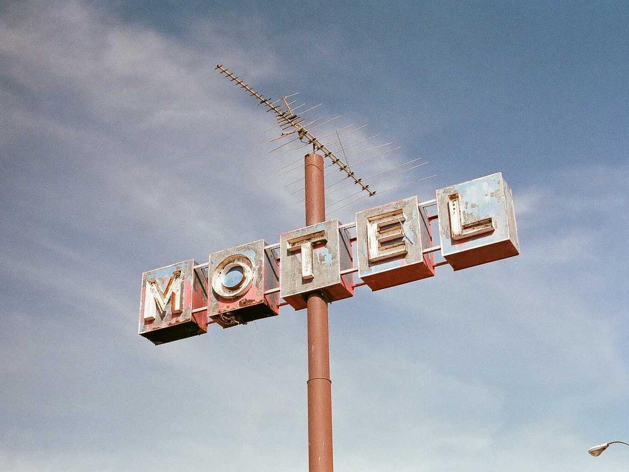 花亦山心之月：德清猫咪购买平台